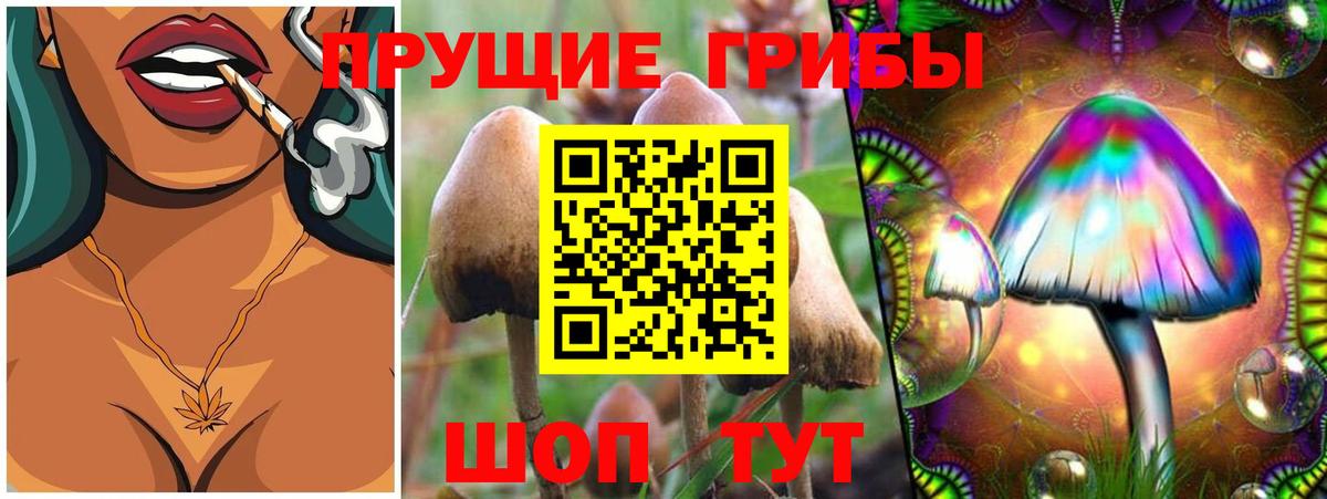 Галлюциногенные грибы мухоморы  Псилоцибиновые грибы MAGIC MUSHROOMS  Нефтекумск  Вход с VPN 